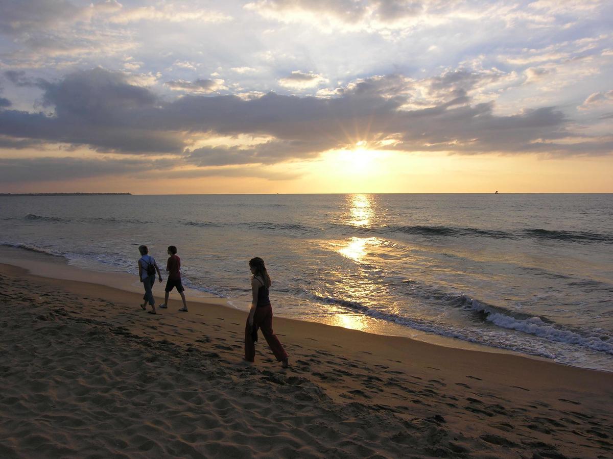 The Icebear Guesthouse Negombo Exterior photo