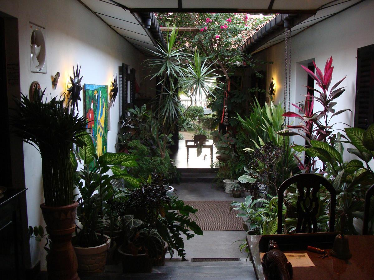 The Icebear Guesthouse Negombo Exterior photo