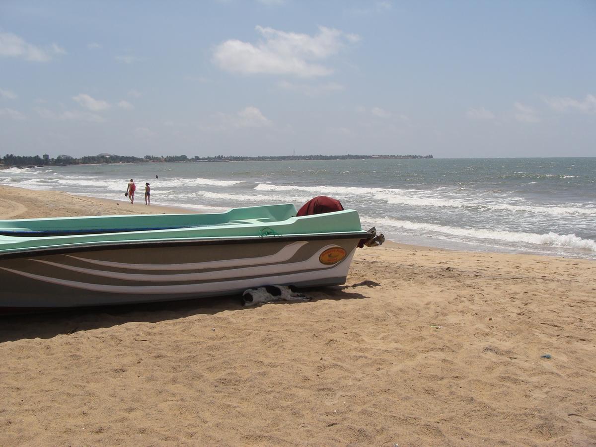 The Icebear Guesthouse Negombo Exterior photo