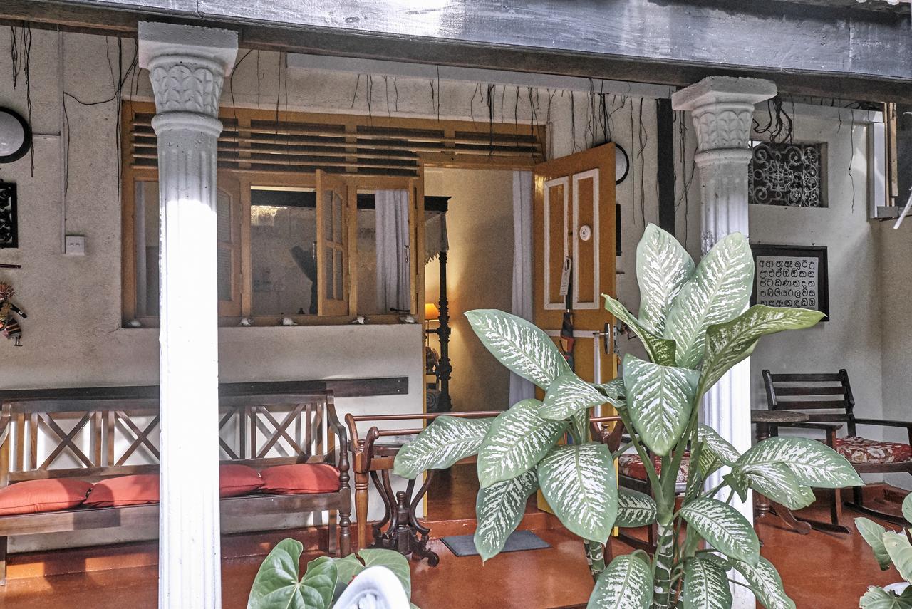The Icebear Guesthouse Negombo Exterior photo