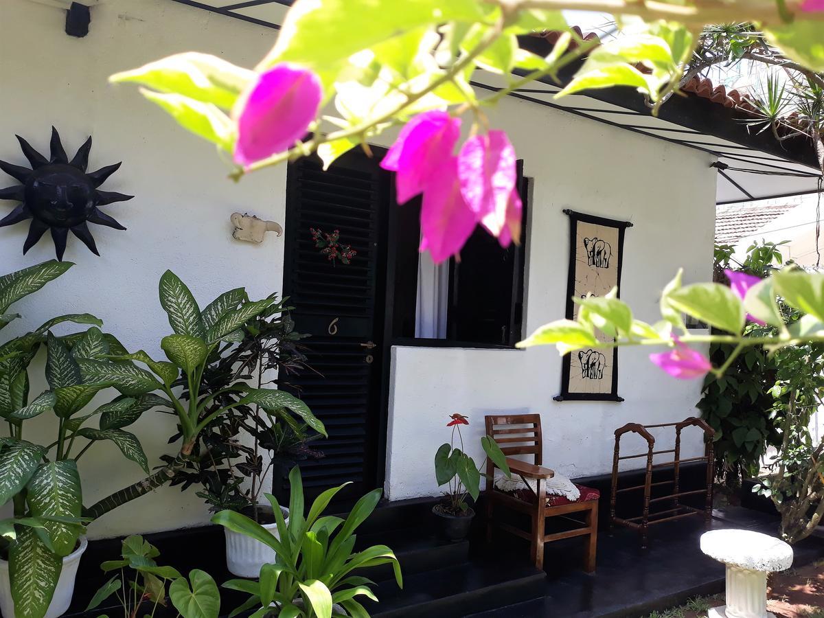 The Icebear Guesthouse Negombo Exterior photo