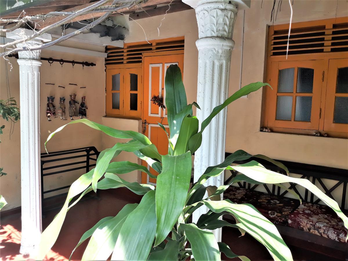 The Icebear Guesthouse Negombo Exterior photo