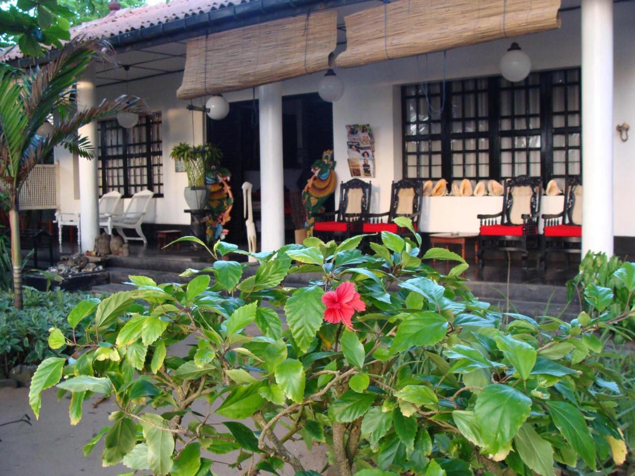 The Icebear Guesthouse Negombo Exterior photo
