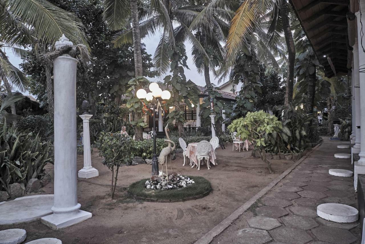 The Icebear Guesthouse Negombo Exterior photo