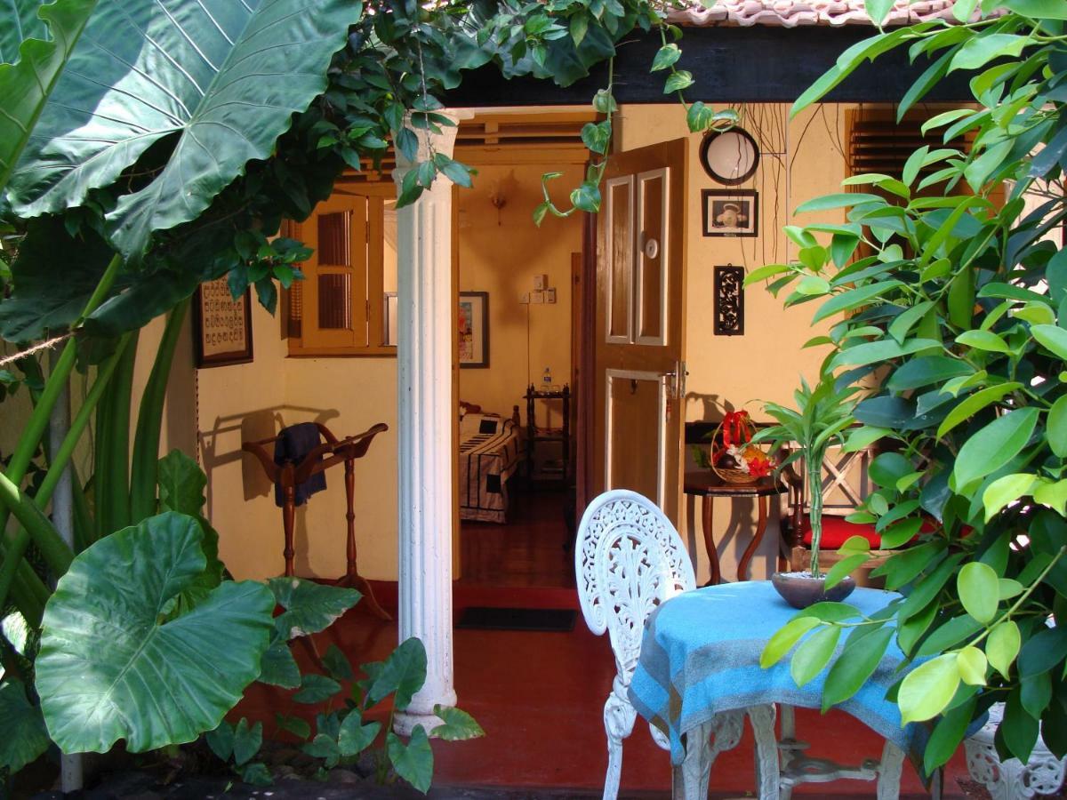 The Icebear Guesthouse Negombo Exterior photo