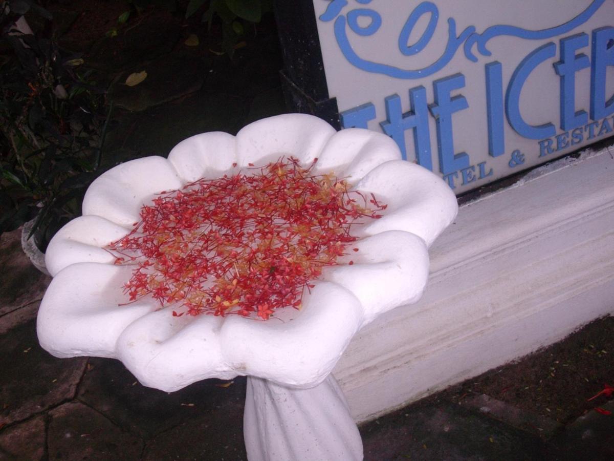 The Icebear Guesthouse Negombo Exterior photo