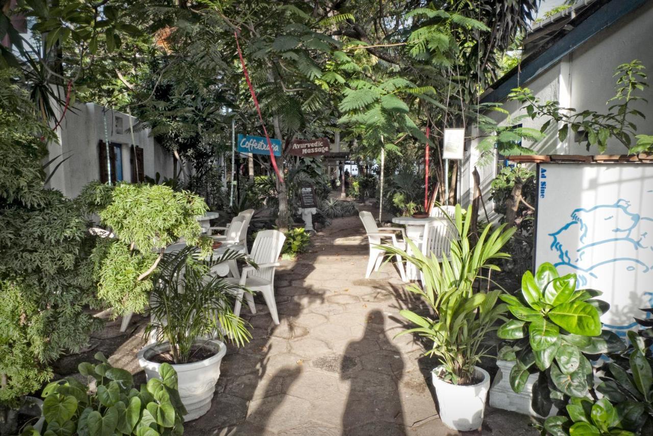 The Icebear Guesthouse Negombo Exterior photo